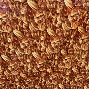 Pumpkin Patch RJR Fabric Fall Pumpkins 2 yds Orange Kyles Marketplace Halloween